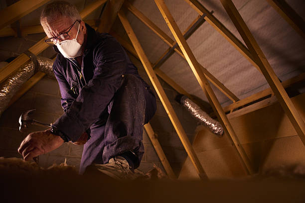Best DIY Insulation Kits and Guidance in Morganton, NC